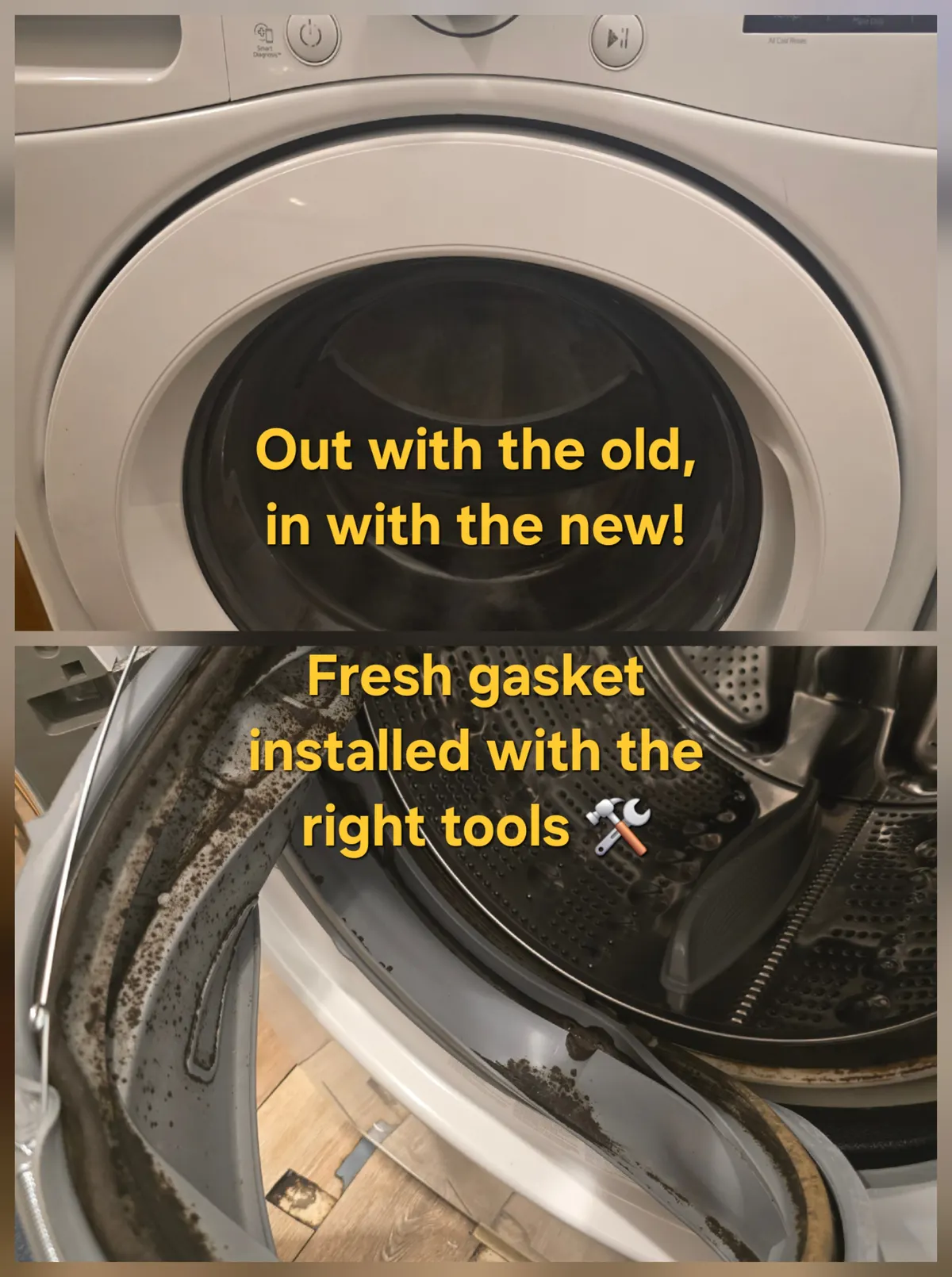 Washing machine door gasket replacement: moldy seal removed, fresh gasket installed
