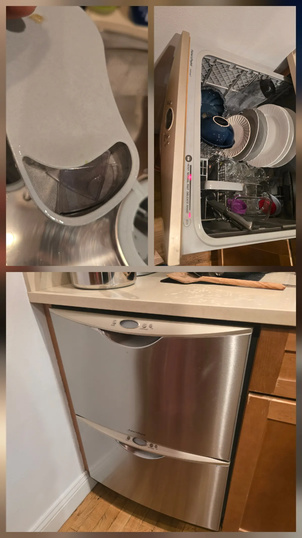 Fisher & Paykel DishDrawer service: dirty filter, clean dishes, installed unit