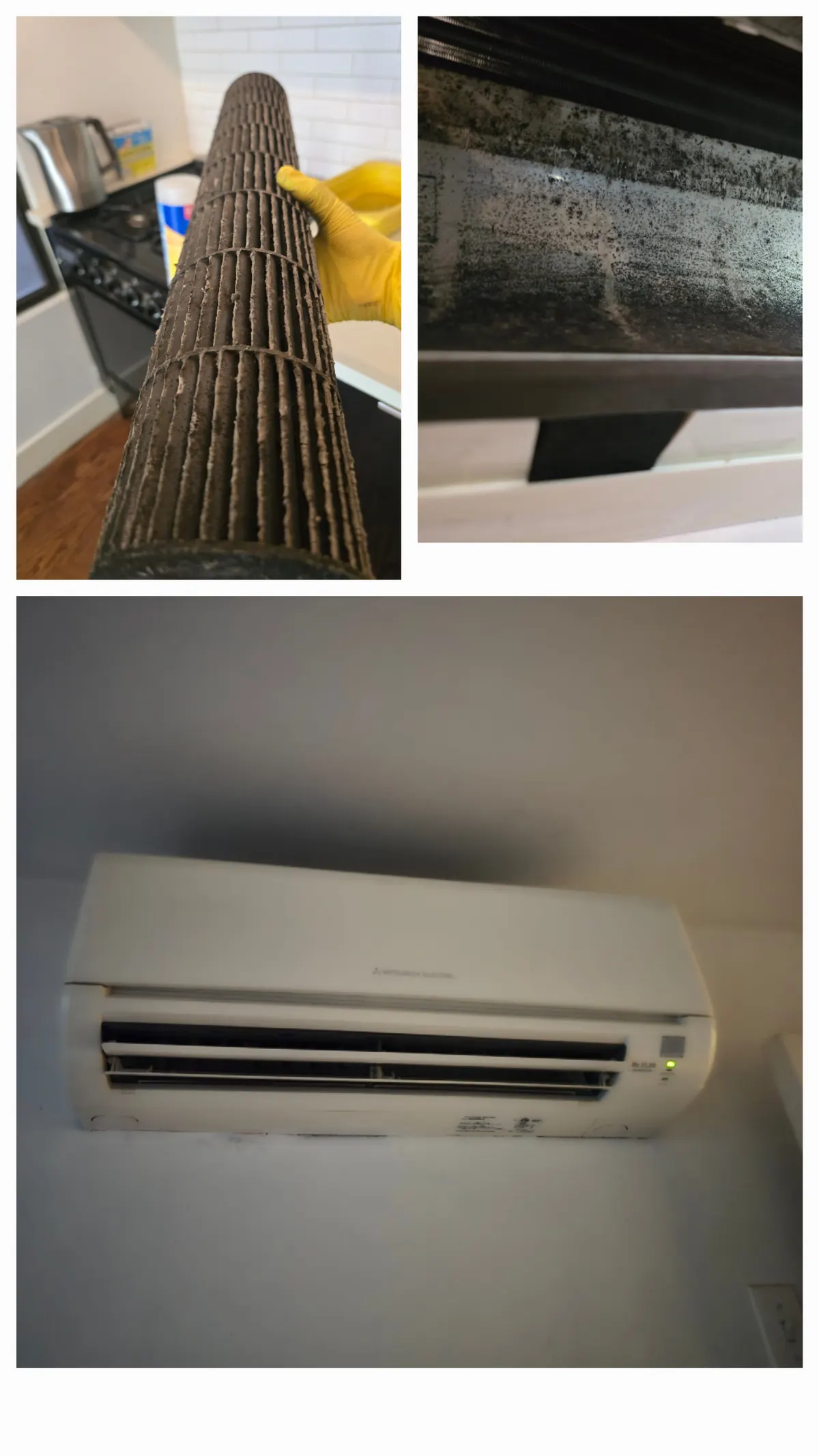 Mitsubishi Electric wall AC opened for service: dirty blower wheel and mold in the drain pan